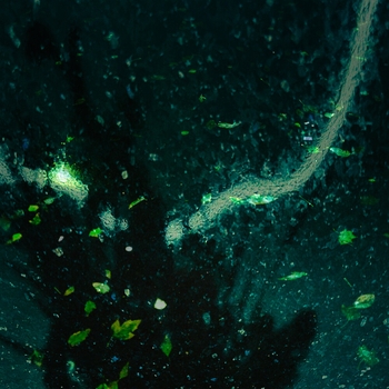 Лиссабон - Дорога в никуда