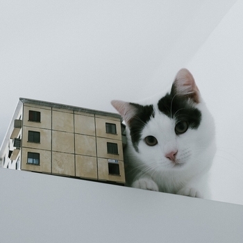 Кирилл Коперник - Сейчас (Осень - это пост-панк 2024)