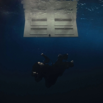 Billie Eilish - Birds Of A Feather (2024)