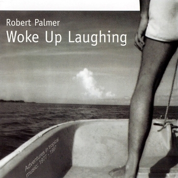 Robert Palmer - Housework (Don't Explain 1990)