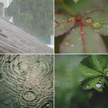 Альбом Bgm for Rainy Vibing Lo-Fi for Studying