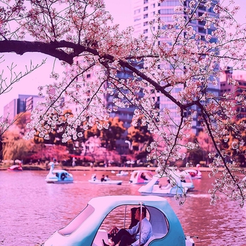 Альбом Backdrop for Sunday Studies - Jazz-hop Lo-Fi for Studying