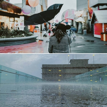 Альбом Lofi (Music for Work from Home Rain) Lo-Fi for Studying