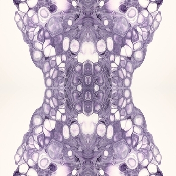 Салават Фатхетдинов - Сандугачлар