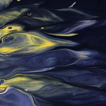 Альбом 28 сезон Салават Фатхетдинов