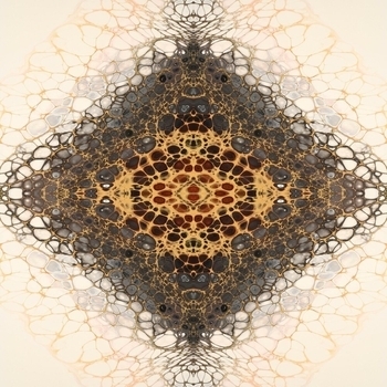 Альбом 24 сезон Салават Фатхетдинов