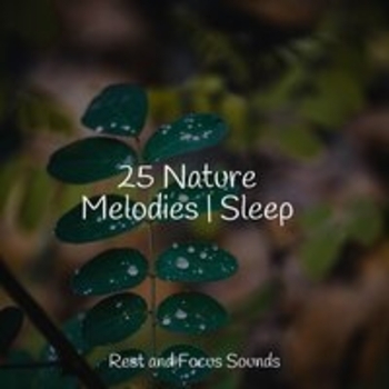 Sleep Baby Sleep, Lullabies for Deep Meditation, Spa Music Relaxation - Ruddy Moon