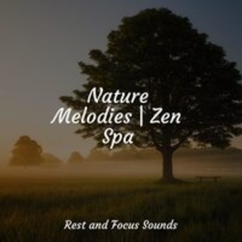 Sleep Sounds of Nature, White Noise Baby Sleep, Study Zone - Cozy and Dreamy