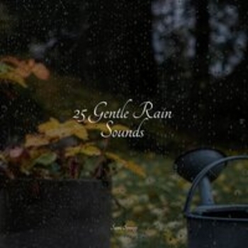 Kinderlieder-Superstar, Study Music, Massage Music - Rain, Thunder, Evening