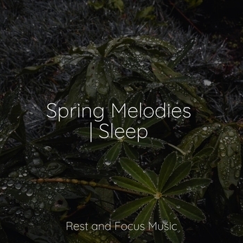 Entspannungsmusik, Oasis de Detente et Relaxation, Amazing Spa Music - Centering Sounds (Spring Melodies - Sleep 2022)