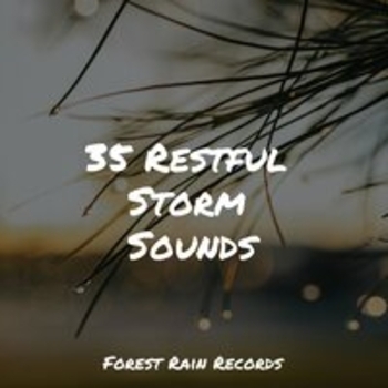 Sounds of Rain & Thunder Storms, Sound Healing Center, Study Music - Rain, Vegetation, Wood, Heavy Wind