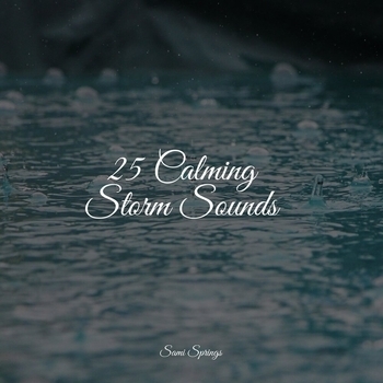 Альбом 25 Calming Storm Sounds Study Music feat Nature and Rain, Asian Zen: Spa Music Meditation