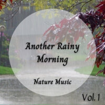 Sleeping Music For Dogs, Dog Music Experience, Study Music - Rainwater