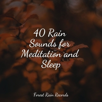 The White Noise Zen and Meditation Sound Lab, Dr. Meditation, Natureza - Rainy, Stormy Night (40 Rain Sounds for Meditation and Sleep 2022)