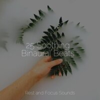 Meditation Zen, Study Zone, Tranquil Music Sound Of Nature - Waterfall Relaxation