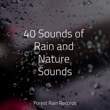 Nature's Symphony, Oasis de Detente et Relaxation, Tranquil Music Sound Of Nature - Large Bonfire (40 Sounds of Rain and Nature Sounds 2022)