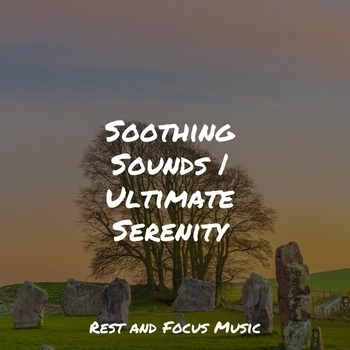 Study Music feat Deep Sleep Music Academy, Reiki Music - Silent Moonlight (2021)