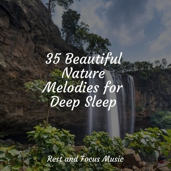 Easy Sleep Music, Mindfulness Mediation World, Musica Zen Relaxante - Mindful Harmony (35 Beautiful Nature Melodies for Deep Sleep 2022)