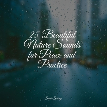 Rain Spa, Regengeräusche - Rainy City (25 Beautiful Nature Sounds for Peace and Practice 2022)