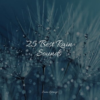 Rain Recorders, Academia de Meditacao Buddha, Sleeping Music - Forest, Morning, Birds, Bugs (25 Best Rain Sounds 2022)