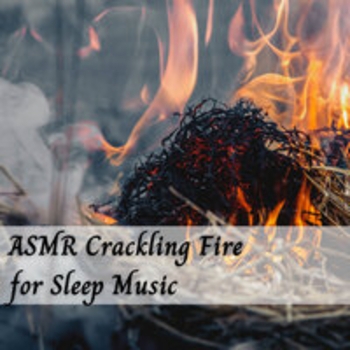 Альбом ASMR Crackling Fire for Sleep Music Study Music feat Fireplace Sounds, Dog Music Therapy