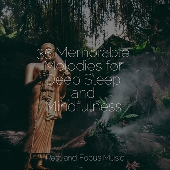 Альбом 35 Memorable Melodies for Deep Sleep and Mindfulness Study Music feat Meditacao Maestro, Spa and Spa