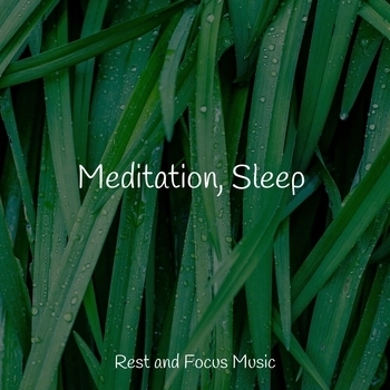 Sleepy Night Music, Easy Sleep Music, Zarobi - Gust of Wind (Meditation, Sleep 2022)
