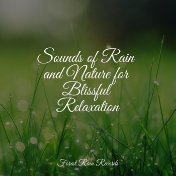 Nature's Symphony, Oasis de Detente et Relaxation, Tranquil Music Sound Of Nature - Rain, Light Metal, Window Pane (Sounds of Rain and Nature for Blissful Relaxation 2022)