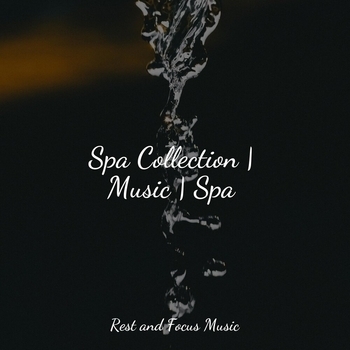 Альбом Spa Collection - Music - Spa Study Music feat Musica para Massagem Especialistas, Sleep Meditation Dream Catcher