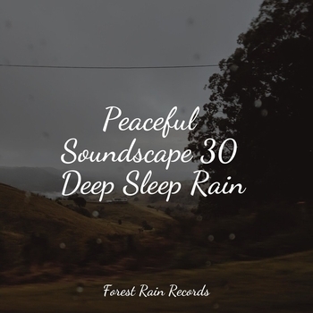 Альбом Peaceful Soundscape 30 Deep Sleep Rain Study Music feat Nature Sounds for Relaxation and Sleep, Rain Sounds and White Noise