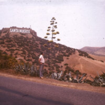 Базар - Гэнгста (Санта Муэрте 2025)