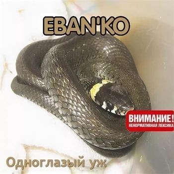 Ебанько - Подруга (Василий голубой 2008)