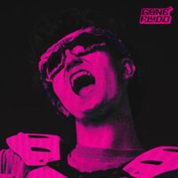 Альбом Digital Fantazy Gone.Fludd