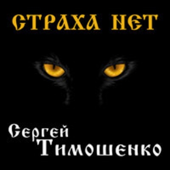 Сергей Тимошенко - Грустная история