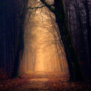 Альбом Осень пришла ChipaChip feat Ahimas