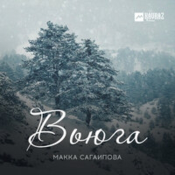 Альбом Вьюга Макка Сагаипова