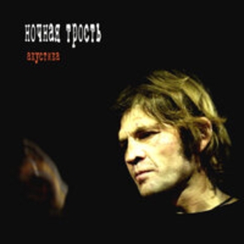 Альбом Акустика Константин Ступин и Ночная трость