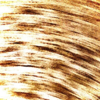 Pepel Nahudi - Swaya