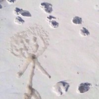 Хаски, РИЧ - Тараканий Бог