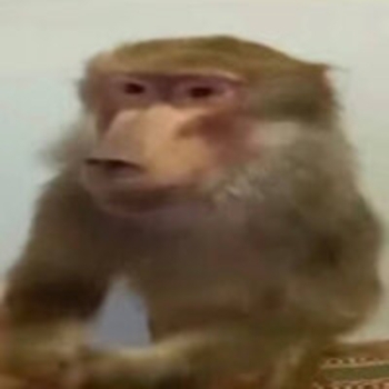 Кишлак - Спили мои рога