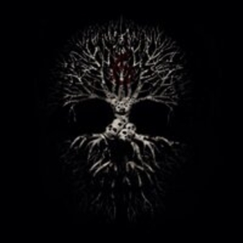 Альбом 6 Amatory