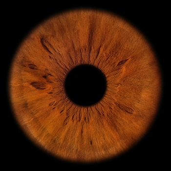 Terry - Прощаю