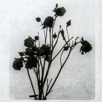 Альбом В одинокого M()eSTRo