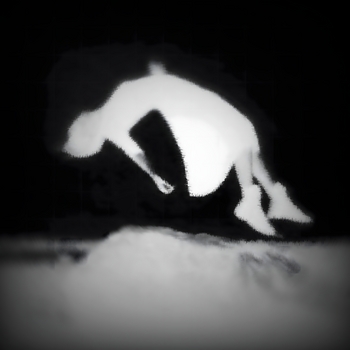 Альбом ILLUSION EXTEMPLE, DXNOHU