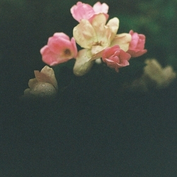 Альбом Breath As Love Kathi Hendrick, Robot Koch, Foam And Sand