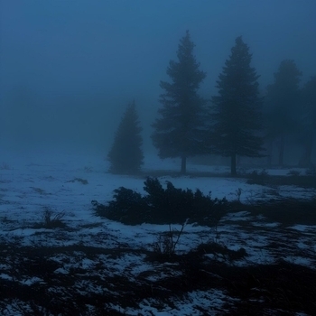 nxlove - time of your life (Sped Up)