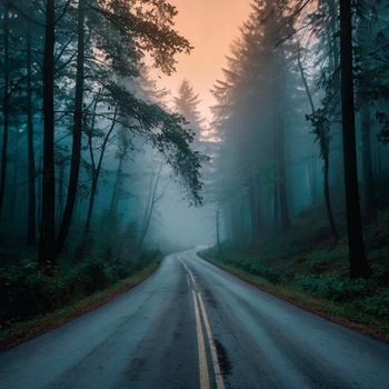 Альбом Сверчки, птицы и капли дождя на пороге дома Музыка для релаксации, Iren Lullaby