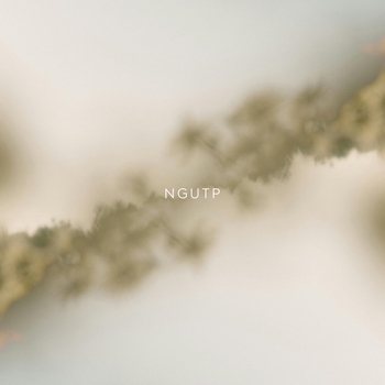 Альбом NGUTP Never Get Used To People