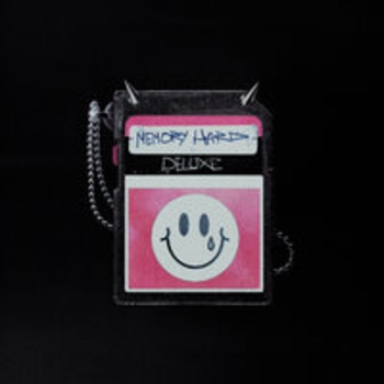 Гнилаялирика - пасмурно