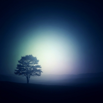 rain in drain - it's not fare slowedown